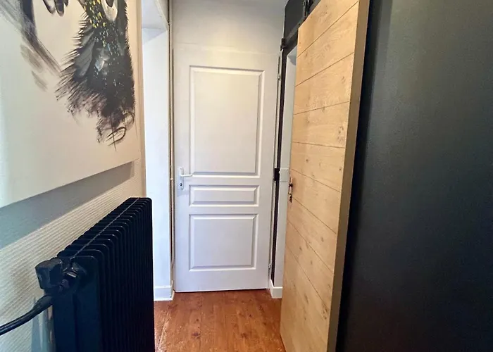 Le Botanica Bel Appartement Situe A 5 Min De La Gare D\'Angers